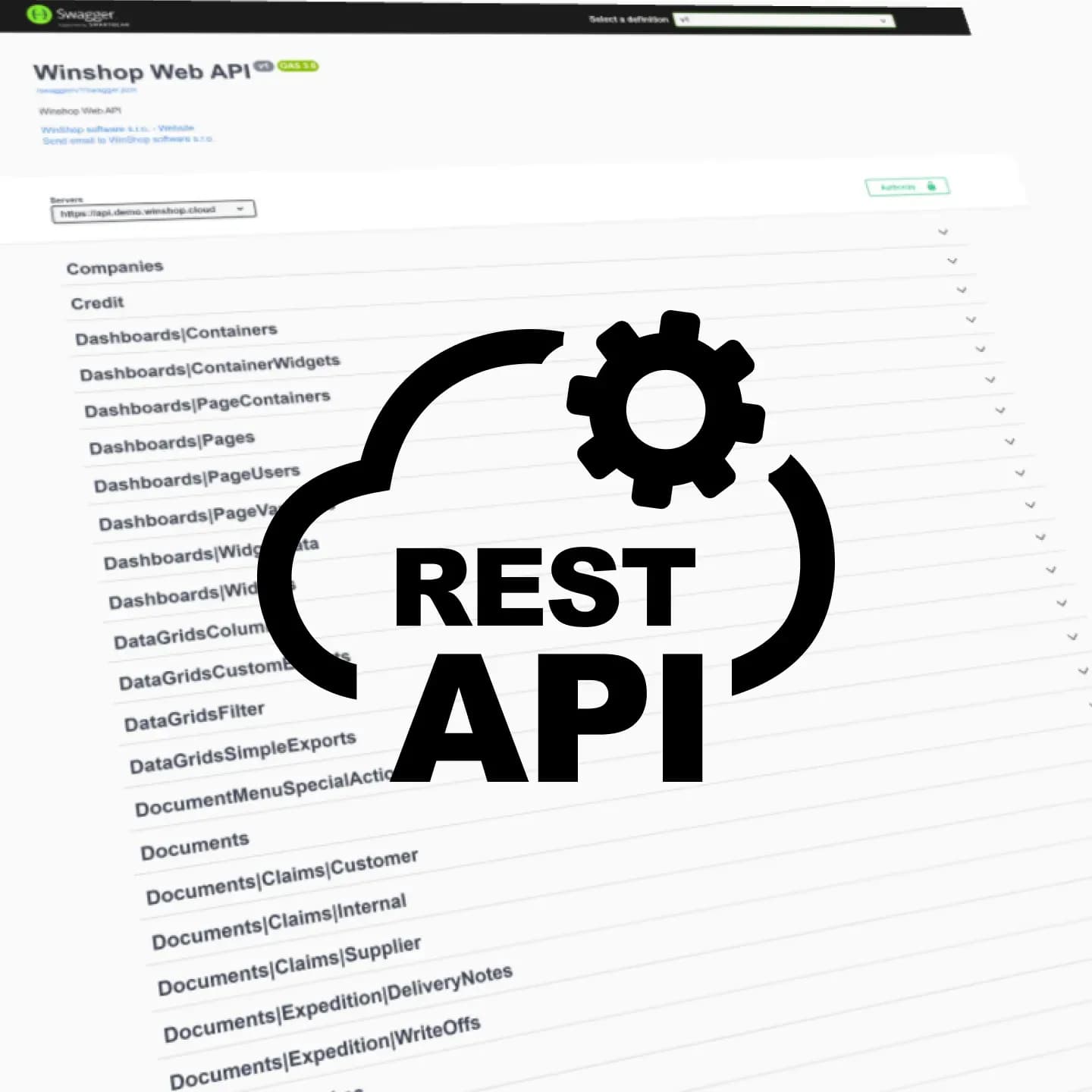 industry-moduly-api.webp