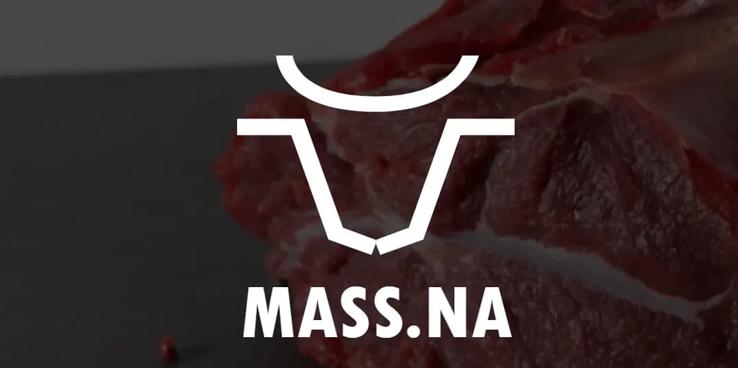 massna-logo.webp