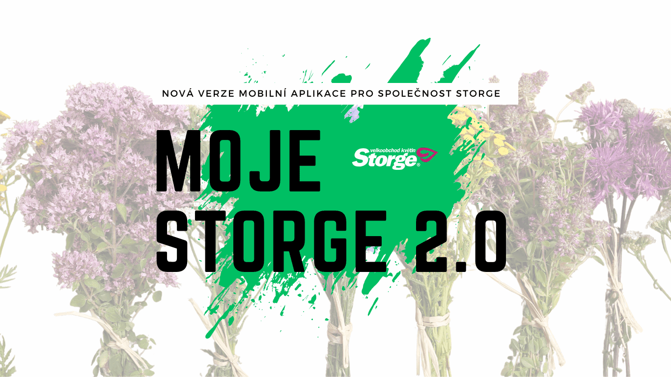 Kopie návrhu Kopie návrhu Instalace WinShop SQL-storge.png